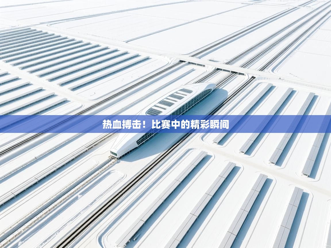 热血搏击！比赛中的精彩瞬间