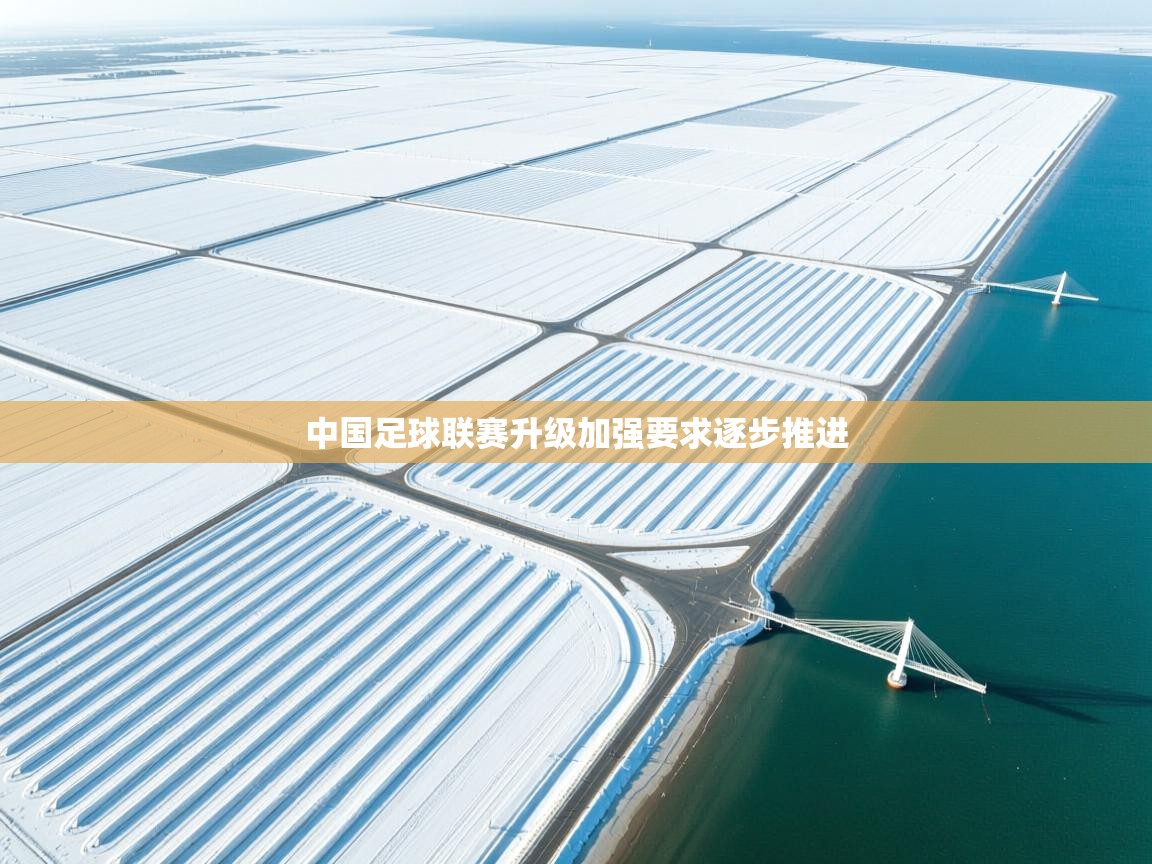 中国足球联赛升级加强要求逐步推进