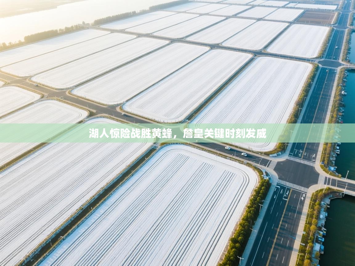 湖人惊险战胜黄蜂，詹皇关键时刻发威